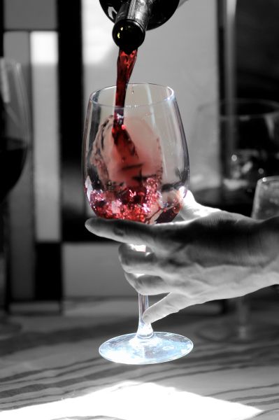 EXPOVINOS TANDIL 2010 es una propuesta cultural, tur�stica y enogastron�mica in�dita en el coraz�n de la provincia de Buenos Aires. Una feria de vinos junto a los mejores productos regionales bajo el marco integrador del arte.