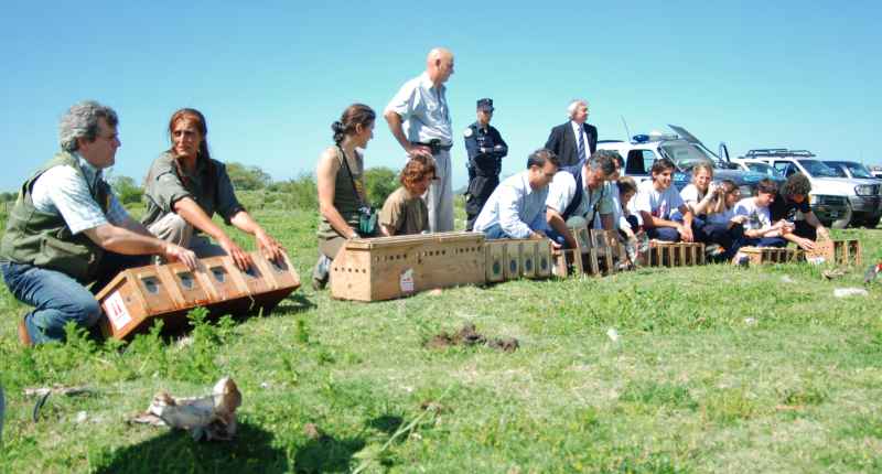 El jueves 29 de octubre, Direcci�n de Fauna Naci�n y Fundaci�n Temaik�n liberaron en la Reserva Municipal de Pilar, m�s de 1000 aves aut�ctonas que fueron rehabilitadas en el Centro de Reproducci�n de Especies de Temaiken. Estos animales hab�an llegado hace un mes producto del tr�fico ilegal de animales. Las especies liberadas fueron: tordos, cabecita negra, cardenales, cardenillas, jilgueros, pepiteros, chalchaleros y varillero com�n, entre otros.