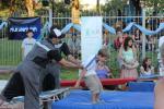 Con una gran convocatoria el 17 de marzo ALPI celebr� el D�a de la Rehabilitaci�n Mundial en la Plaza de Palermo Viejo con m�s 3.000 espectadores.
