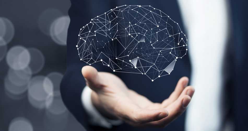 Cómo el Neuromarketing está cambiando el diseño de las tiendas