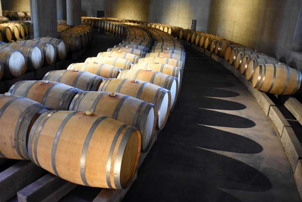 La ruta del vino: una opción para todo el año