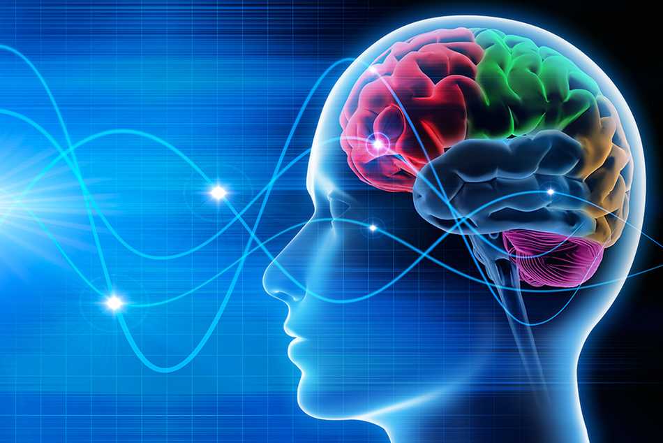 Neuromarketing: Las neuronas espejo y su papel en el marketing