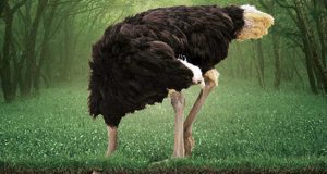 Por qué en la crisis del coronavirus las marcas no pueden esconder la cabeza como el avestruz