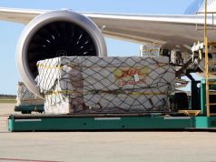DHL Argentina trae 23 toneladas de insumos médicos desde China