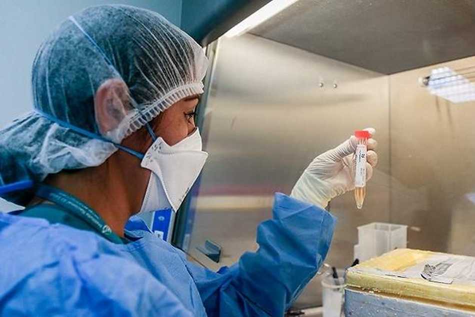 Revelan cuántas horas puede vivir el coronavirus en la piel