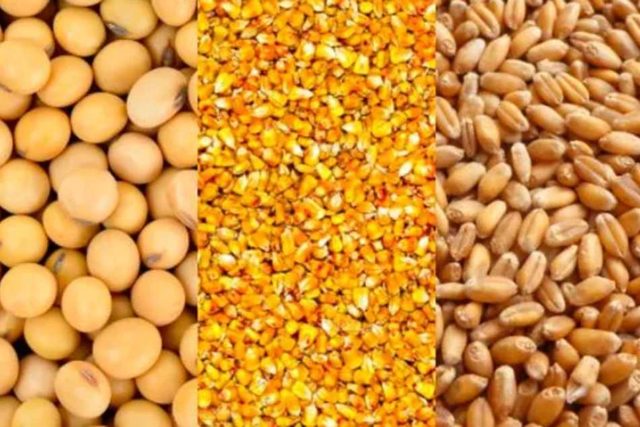 ¿Por qué invertir en soja, trigo y maíz en el 2021?