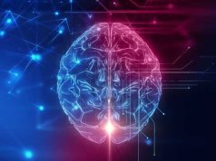 El cerebro humano y la IA procesan de la misma forma los programas informáticos
