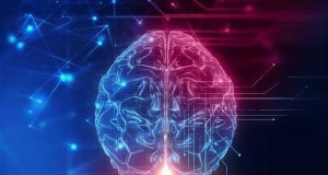 El cerebro humano y la IA procesan de la misma forma los programas informáticos
