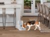 Revolutionize el cuidado de tus mascotas: Dispensador inteligente de Nexxt Home