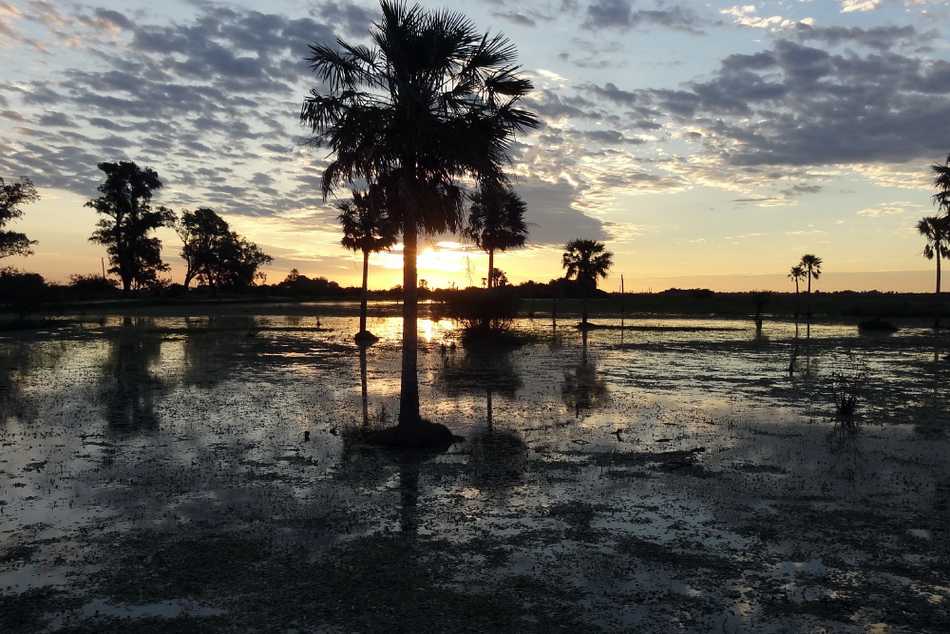Reserva natural: Futuro sustentable